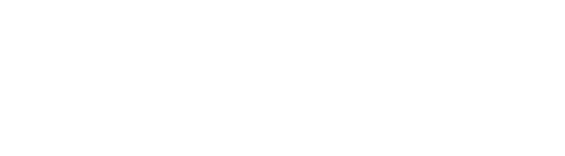 Teknolojiport